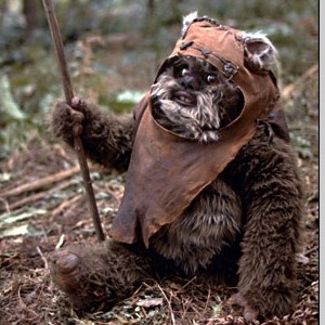 ewoks.jpg