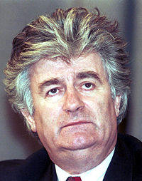 kardzic