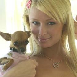 paris hilton