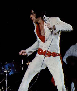 elvis