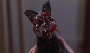 night of the creeps zombie cat