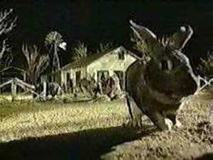 Night of the Lepus: Los conejos asesinos – HUGO ZAPATA