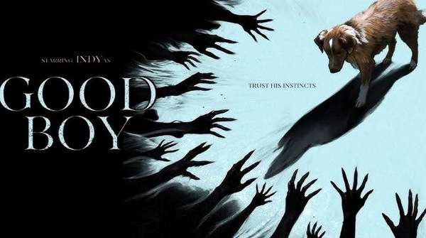 Póster oficial de Good Boy, película de terror independiente dirigida por Ben eonberg, protatgonizada por el golden retriever Indy