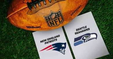 Logo del super bow LX con los escudos de New England, Patriots y Seatle Seahawks.