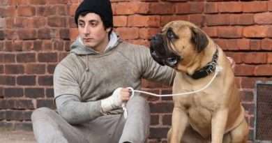 Anthony Ippolito interpreta a Sylvester Stallone en una imagen promocional de I Play Rocky.