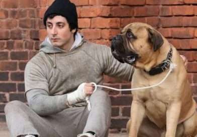 Anthony Ippolito interpreta a Sylvester Stallone en una imagen promocional de I Play Rocky.