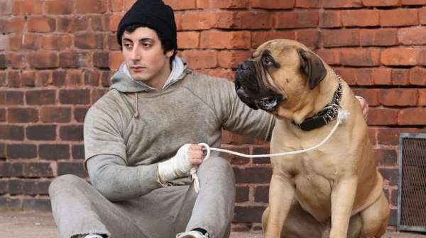 Anthony Ippolito interpreta a Sylvester Stallone en una imagen promocional de I Play Rocky.
